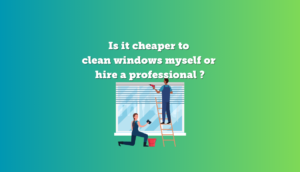 Is it cheaper to clean windows myself or hire a professional ()