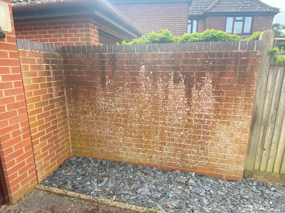 Wall Pressure Washing nautilusclean co uk